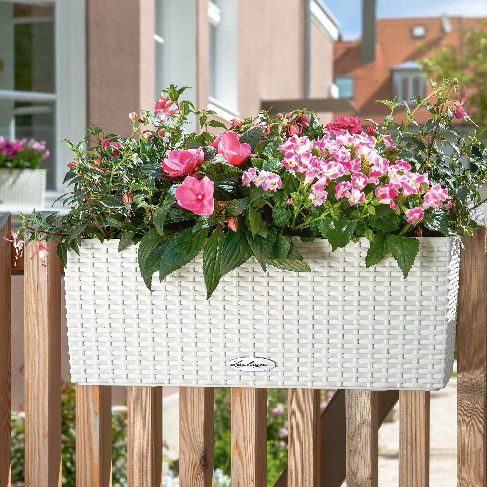 le_balconera-cottage50_product_addi_02